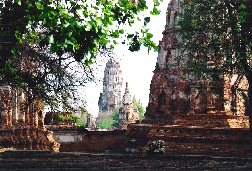 โบราณสถานในอยุธยา · ภาพถ่าย พ.ศ. 2547 ร่องรอยเมืองที่เคยเป็นพื้นที่ของราชสำนักและตำรา